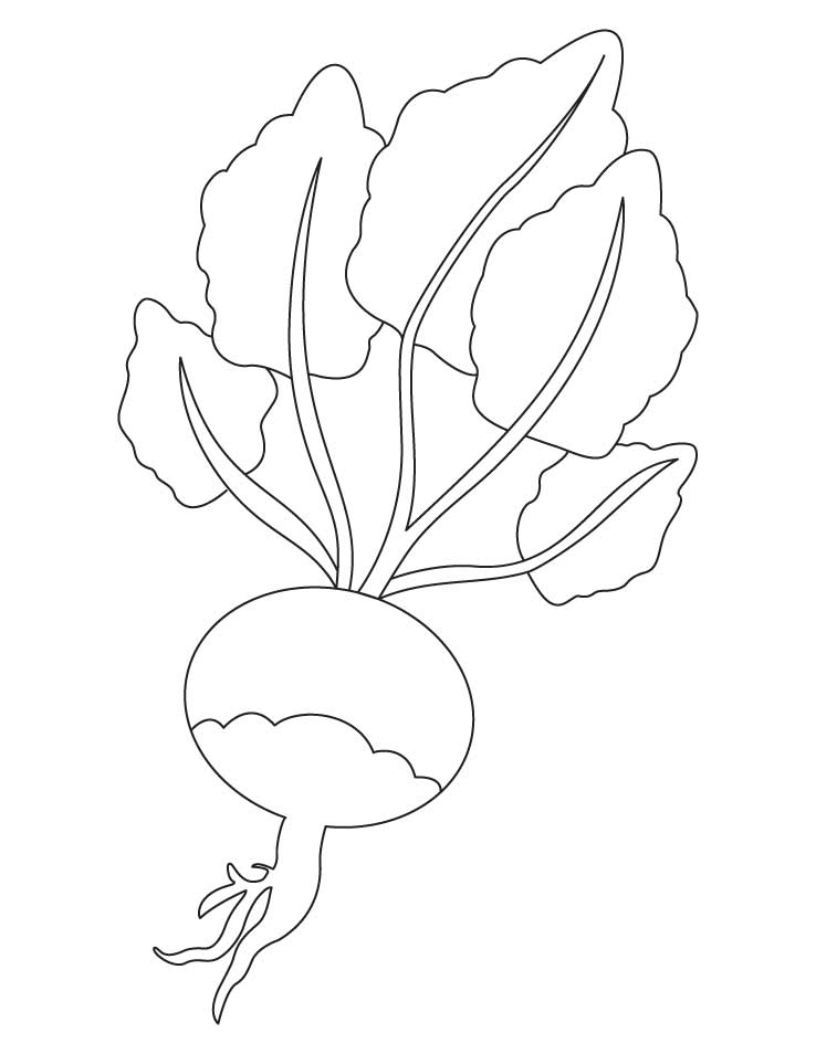 Red turnip coloring page | Download Free Red turnip coloring page 