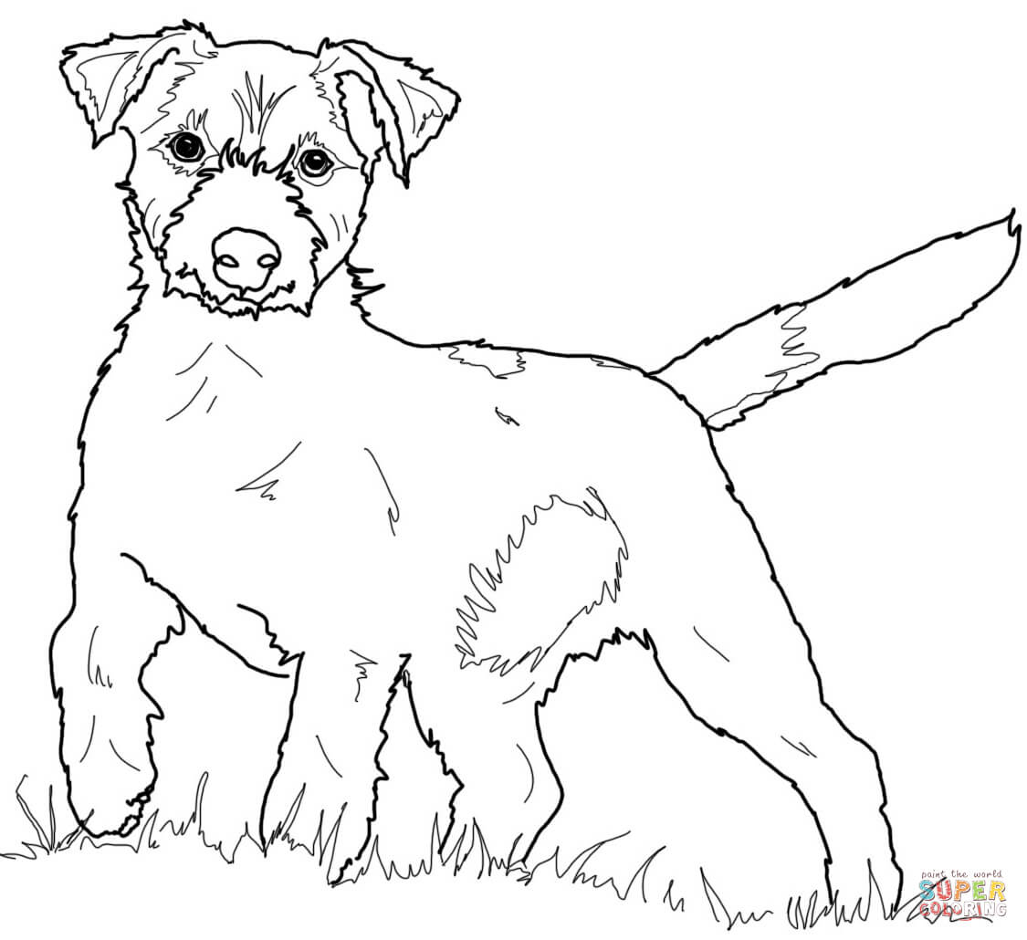 Jack Russell Terrier coloring page | Free Printable Coloring Pages