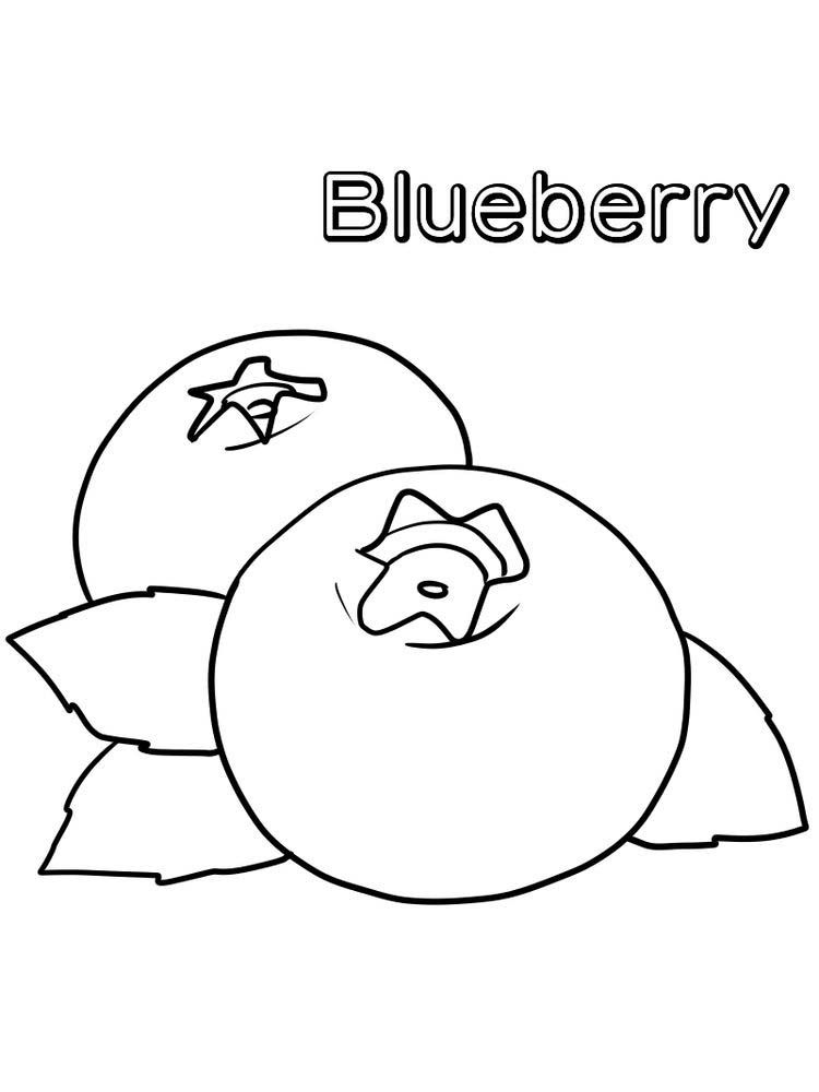 blueberry coloring page free. Blueberries are small, fruit-rich fruits that  are rich in benefits. This frui… | Fruit coloring pages, Coloring pages,  Blueberry color