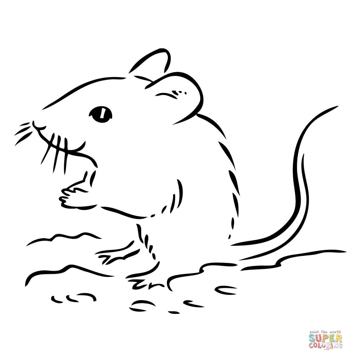 Мышь полевка раскраска для детей