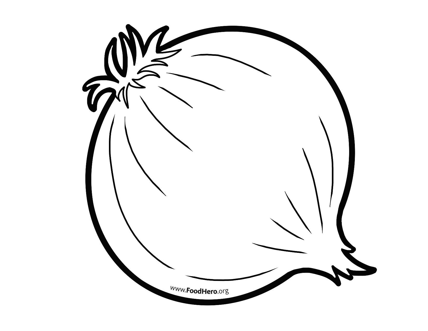 Onion outline from FoodHero.org | Art drawings for kids, Onion pictures,  Sea crafts