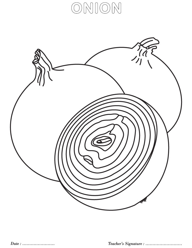 Onion coloring page | Download Free Onion coloring page for kids | Best Coloring  Pages