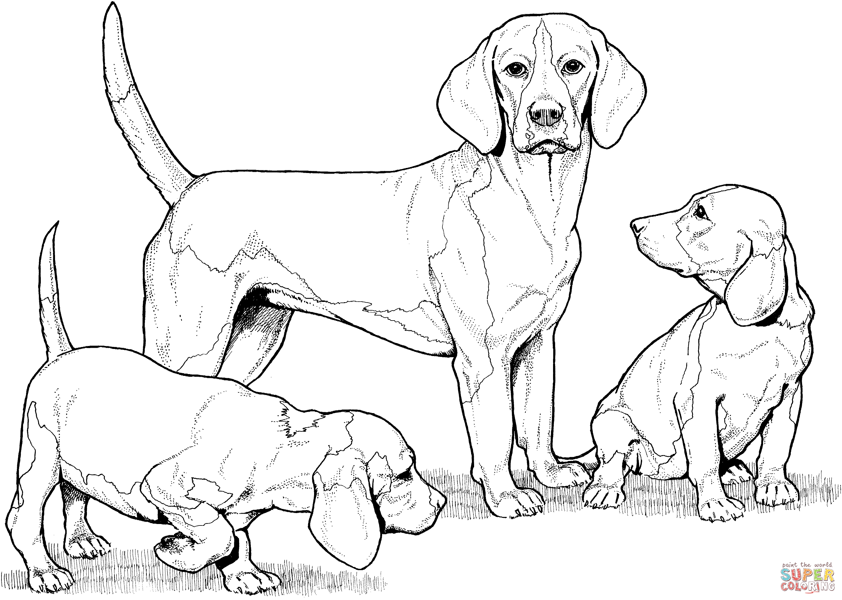Beagle with Puppies coloring page | Free Printable Coloring Pages