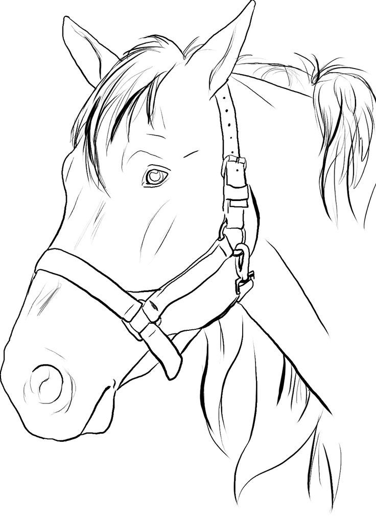 1000+ ideas about Horse Coloring Pages | Colouring ...