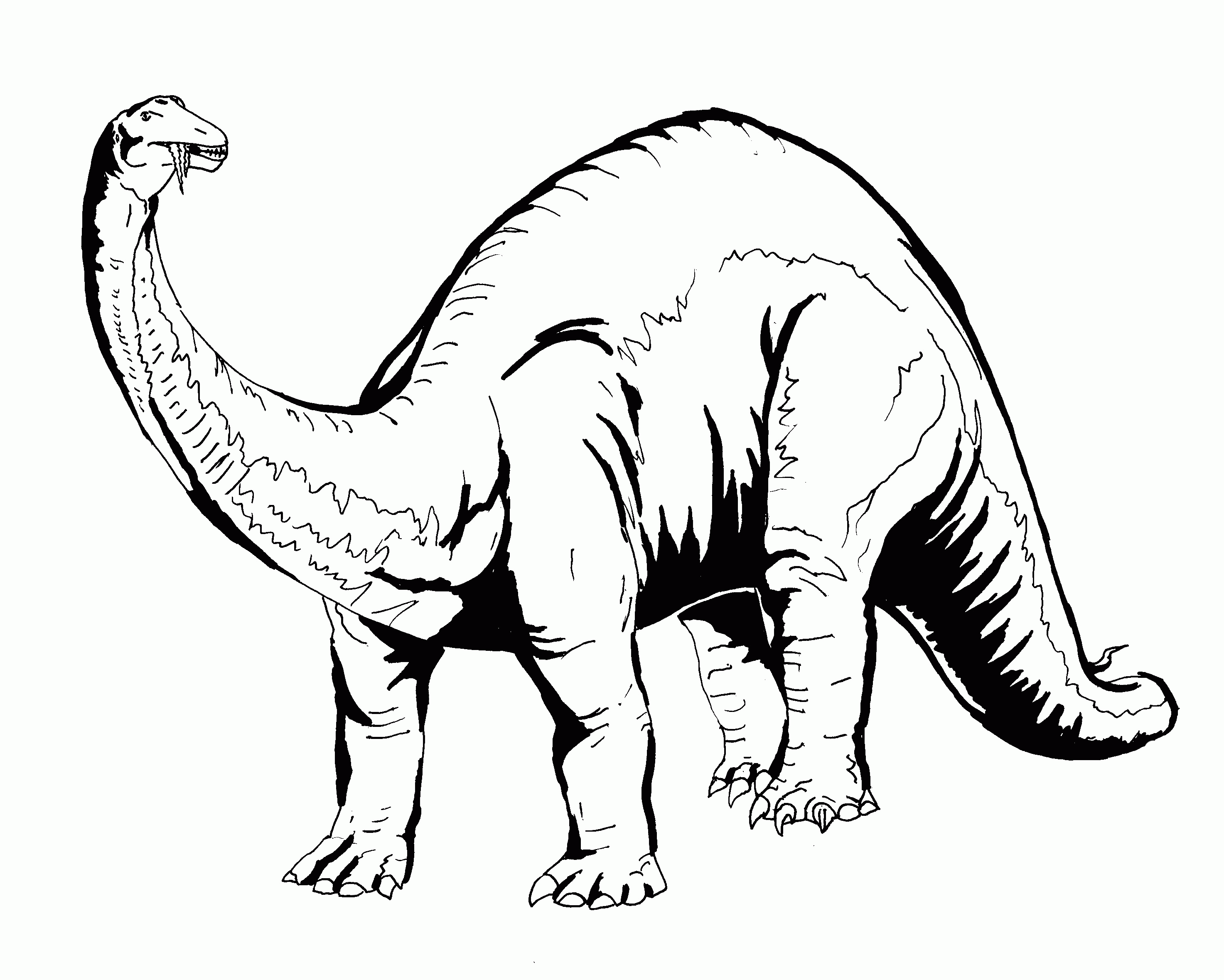 coloring pages dinosaurs | Kids Activities