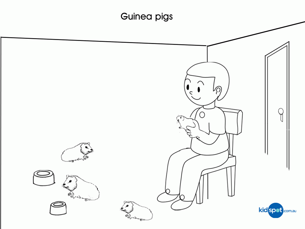 Printables - Guinea Pigs - Colouring Pages