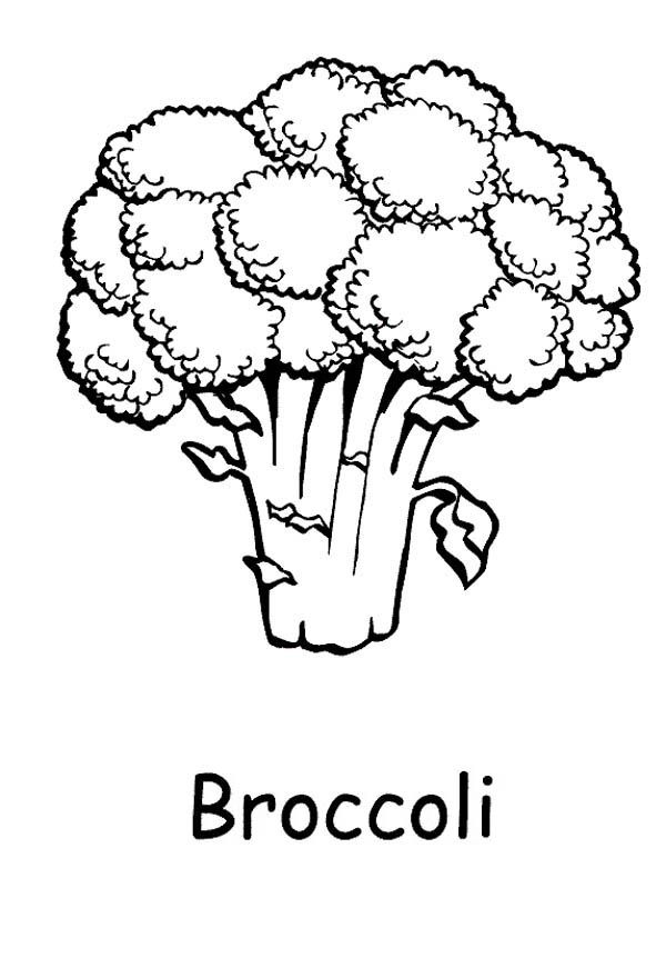 Printabel Vegetable Broccoli Coloring Page 9
