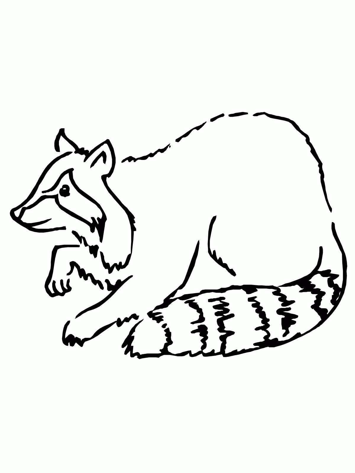 11 Pics of Raccoon Printable Coloring Pages - Raccoon Coloring ...