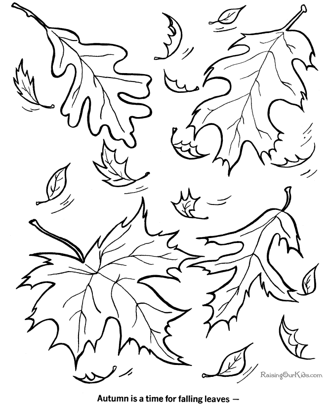 Fall coloring picture