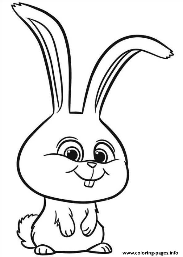 Print cute rabbit secret life of pets Coloring pages Free Printable