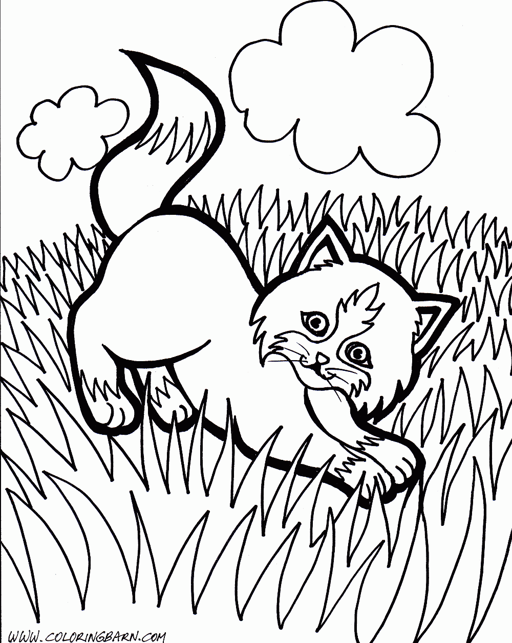 Рисунок к рассказу Толстого котенок