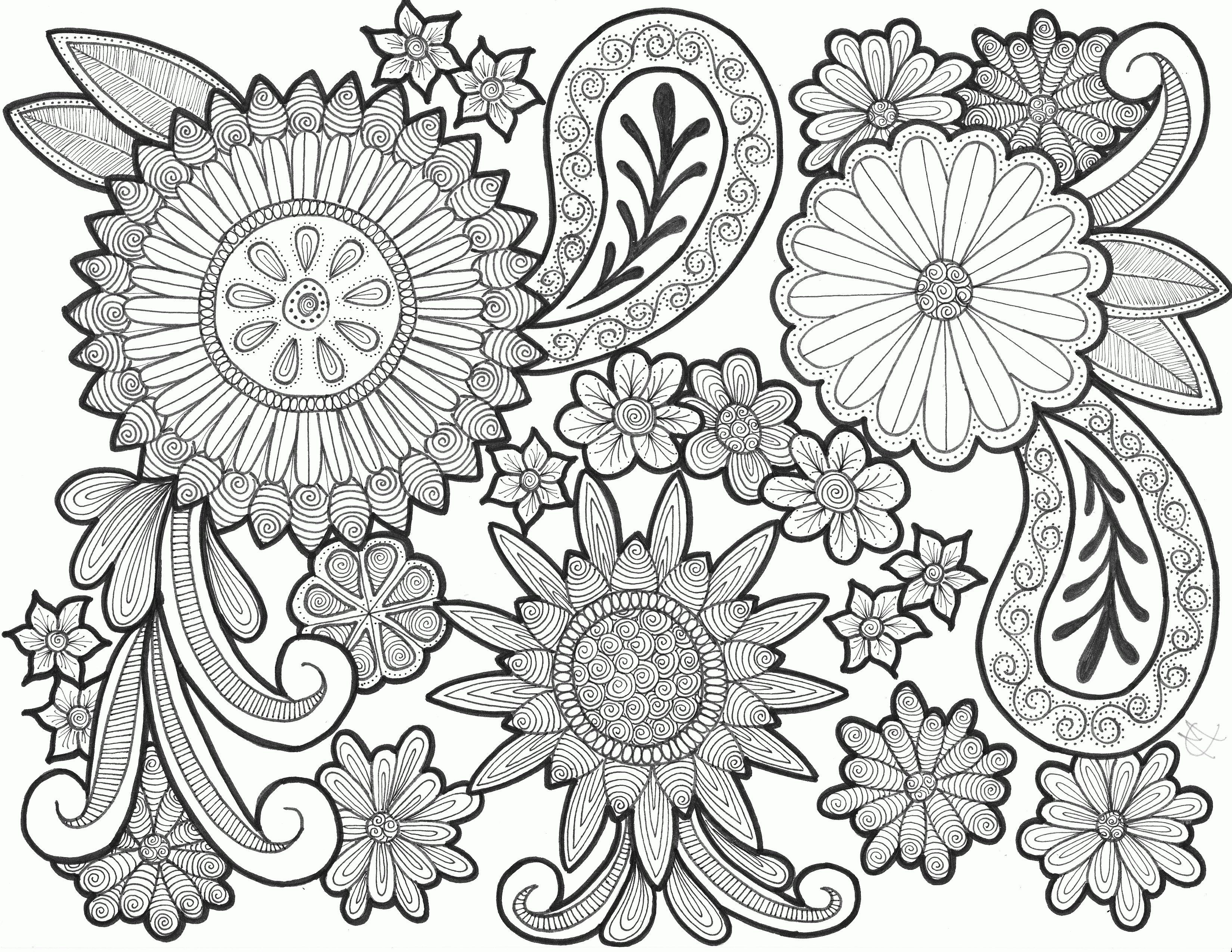 Paisley Coloring Pages Free Printable - Coloring Home