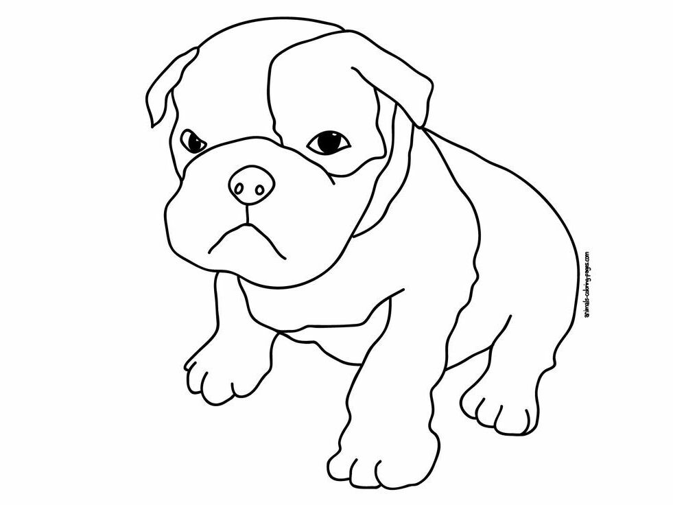 Pug - Coloring Pages for Kids and for Adults