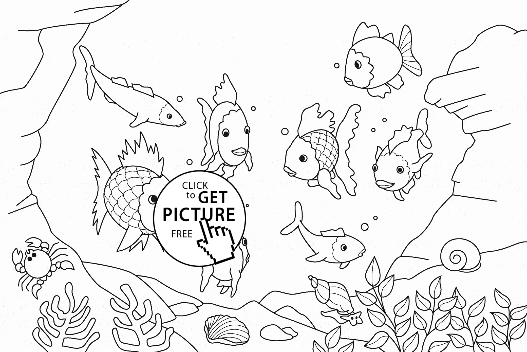 Rainbow Fish coloring page for kids, animal coloring pages ...