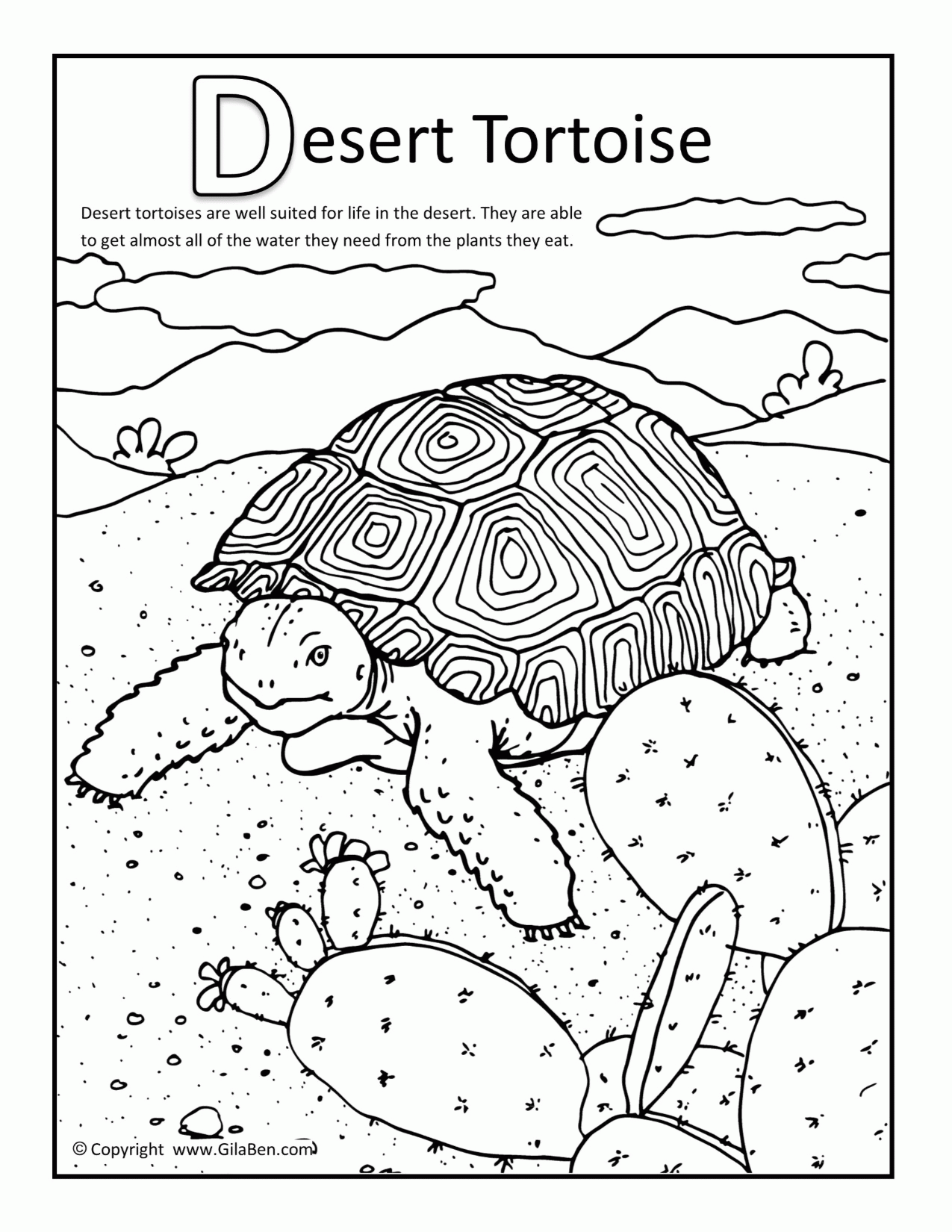 12 Pics of Free Printable Desert Coloring Pages - Desert Coloring ...