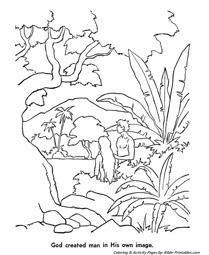 God created man in his own image | Bible coloring pages, Creation coloring  pages, Bible coloring