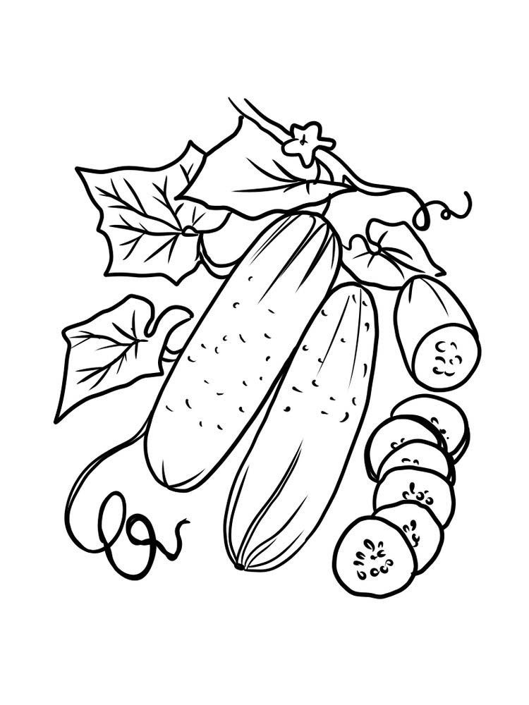 cucumber coloring page print. Cucumber is included in annual (short-lived)  fruit vegetab… in 2020 | Coloring pages, Printable christmas coloring pages,  Fruit coloring pages