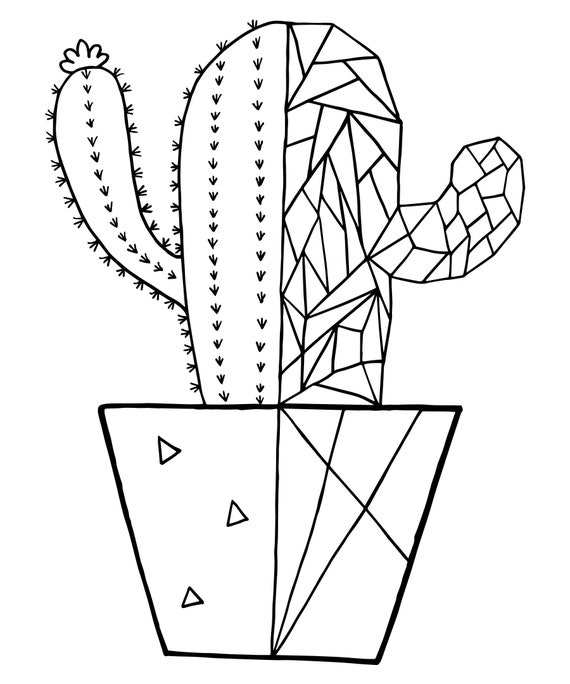 Cactus Coloring Pages Succulent Coloring Pages Cacti | Etsy UK