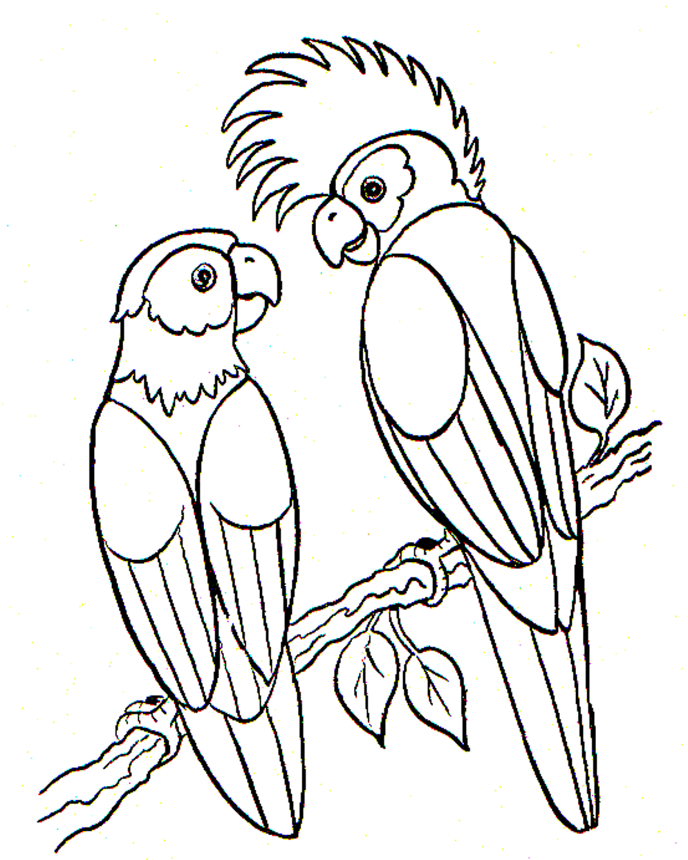 Parrot Coloring Pages Coloring Home