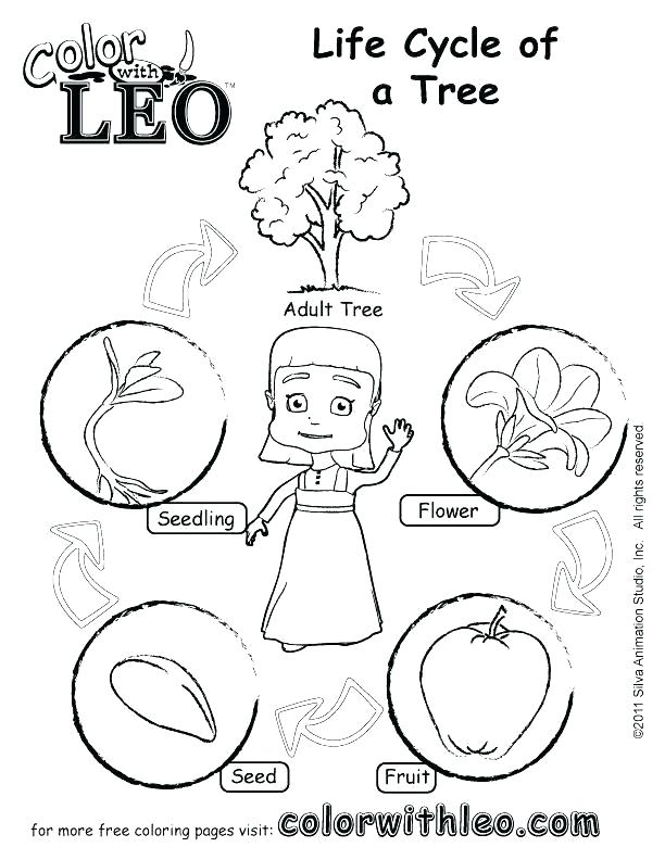tree of life coloring pages – africaecommerce.co
