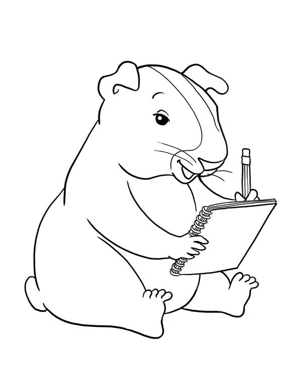 Guinea Pig Writing Coloring Page | Color Luna - Clip Art Library