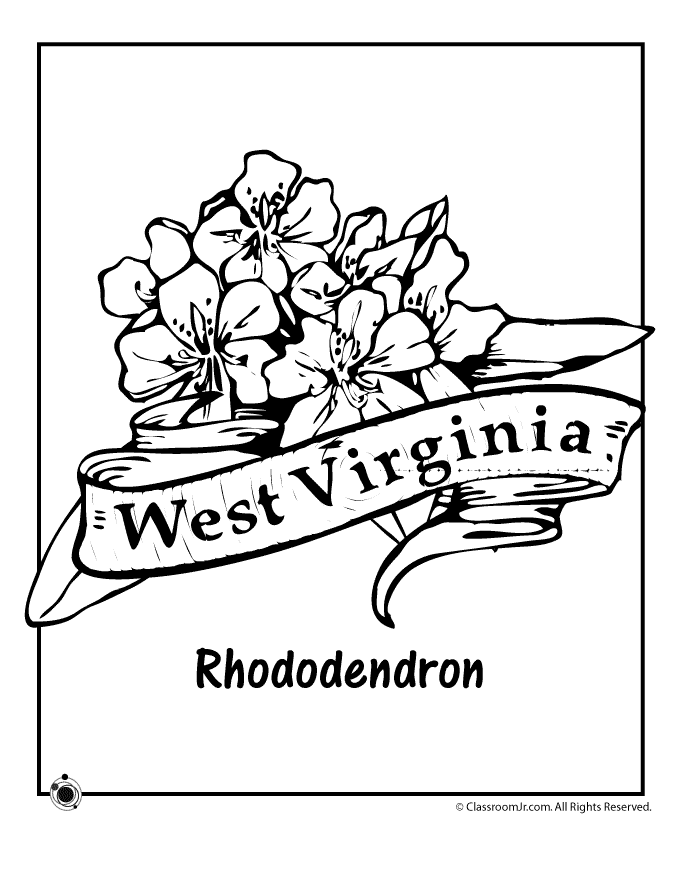 West Virginia State Flower Coloring Page | Woo! Jr. Kids Activities :  Children's Publishing