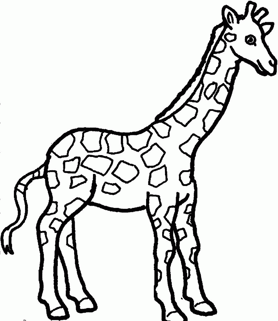 Creative Giraffes Coloring Pages Free Coloring Pages - Widetheme