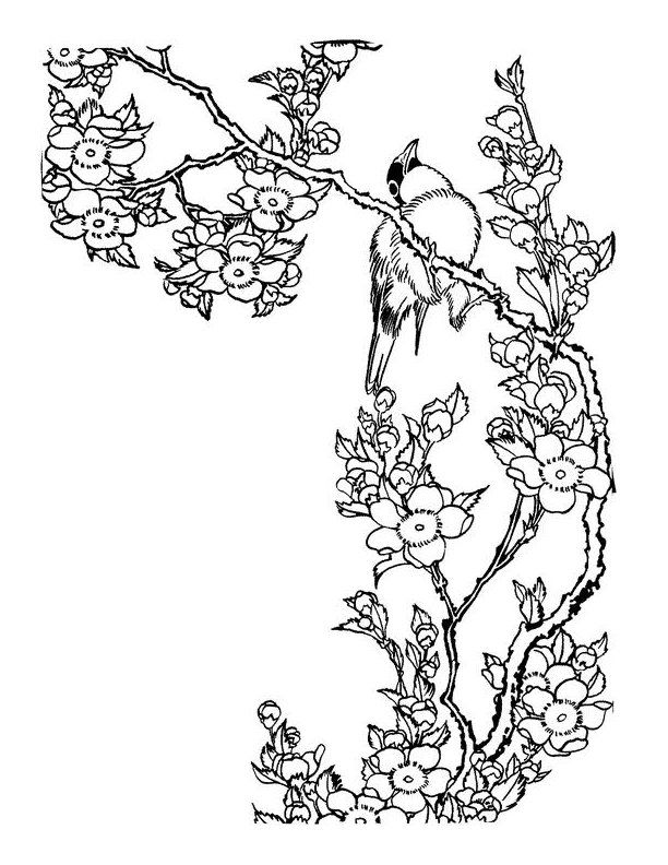 10 Pics of Japanese Art Coloring Pages - Japanese Cherry Blossom ...