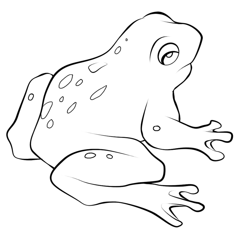 20+ Frog Color Sheet - Pa-g.co