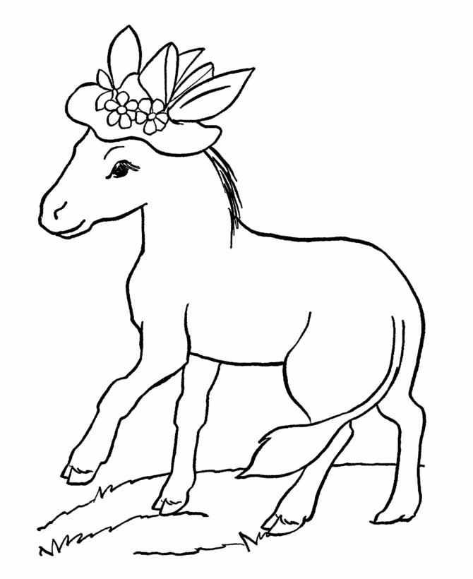Farm Animal Coloring Pages | Donkey with a hat Coloring Page and 