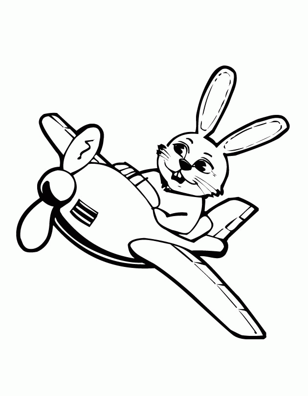 bunny_plane.jpg