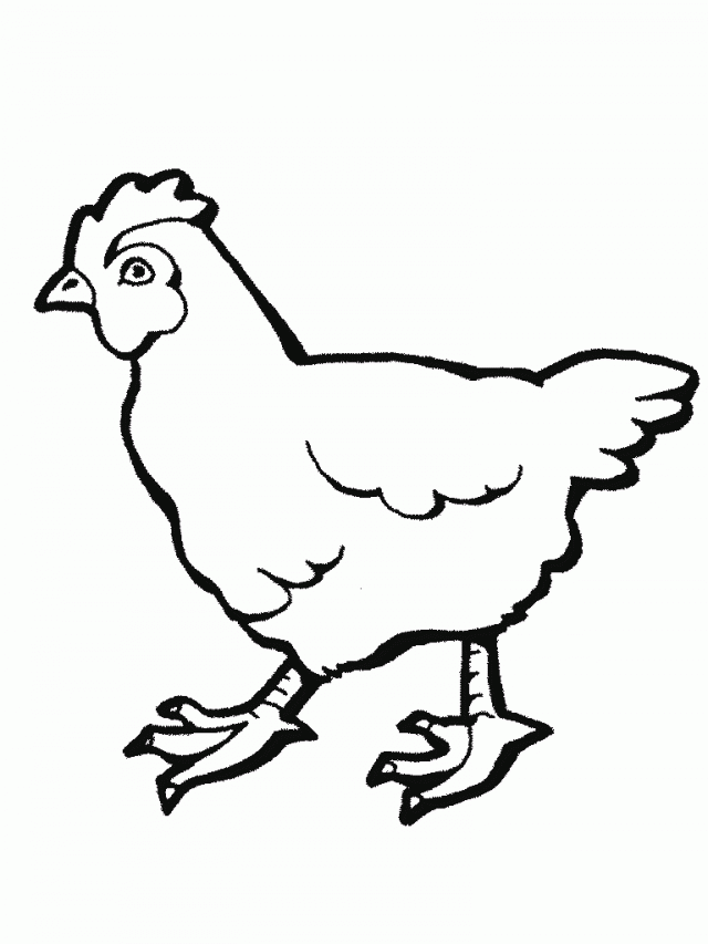 2627 Simple Printable Chicken Animal Coloring Page For Free 293861 