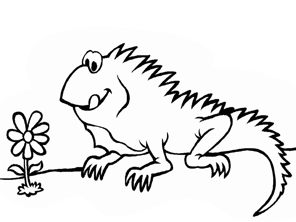 iguana coloring page | Coloring Picture HD For Kids | Fransus 