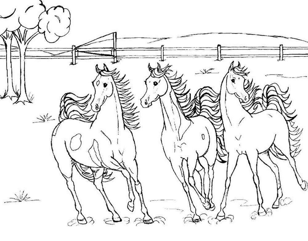 Horse Coloring Pages | Pencils-Pixels