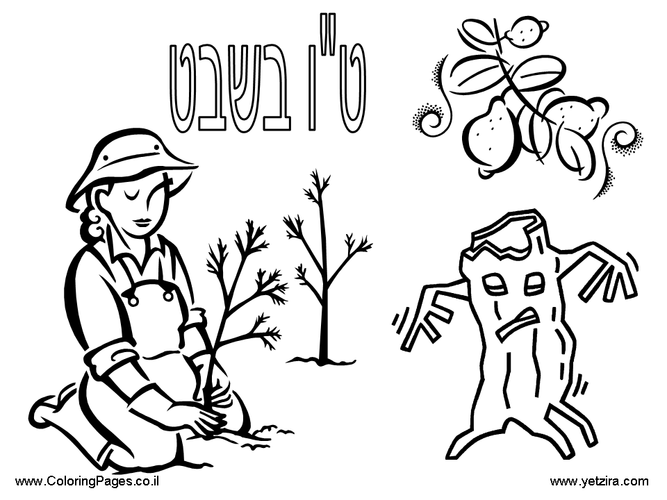 shabbat-coloring-pages-coloring-home