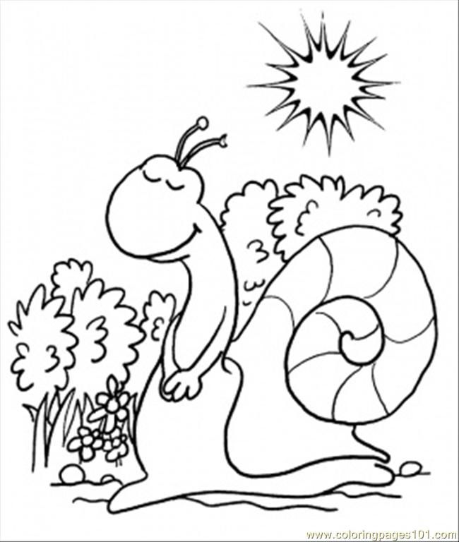 Coloring Pages Snail Is Taking Rest In The Forest (Natural World 