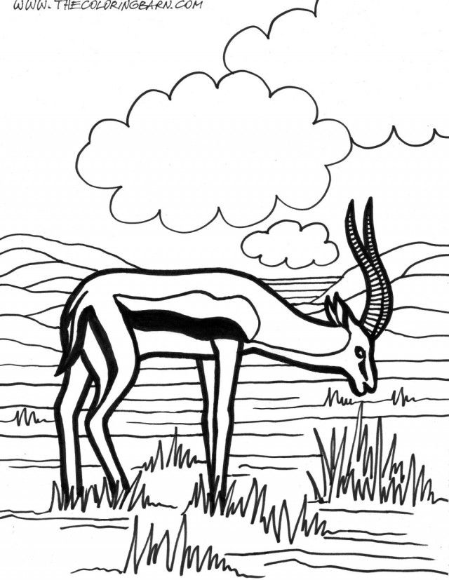 Picture Of An Antelope - Coloring Home