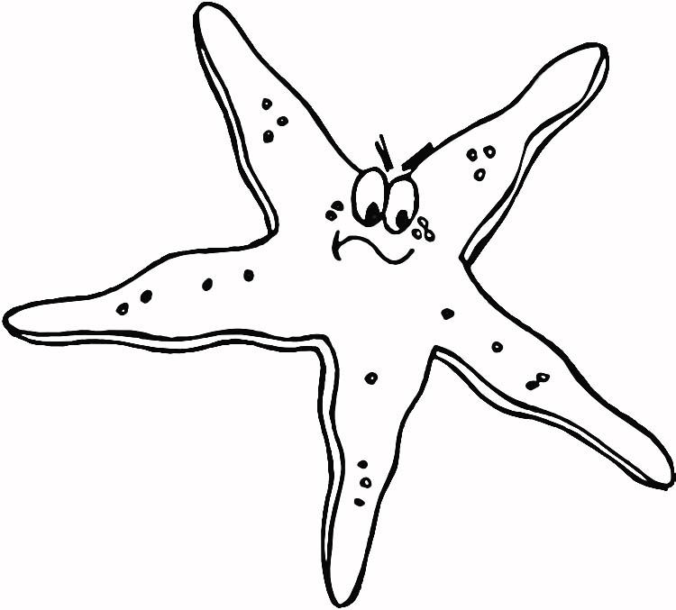 Starfish Colouring Page - Colouring Pages Online Australia