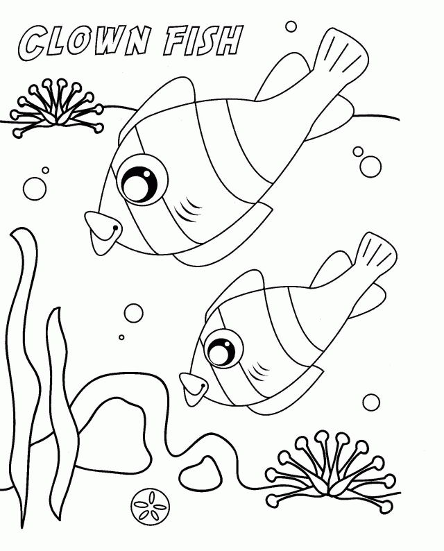 Cute Clown Fish Coloring Pages HD Wallpaper Coloring And Painting 