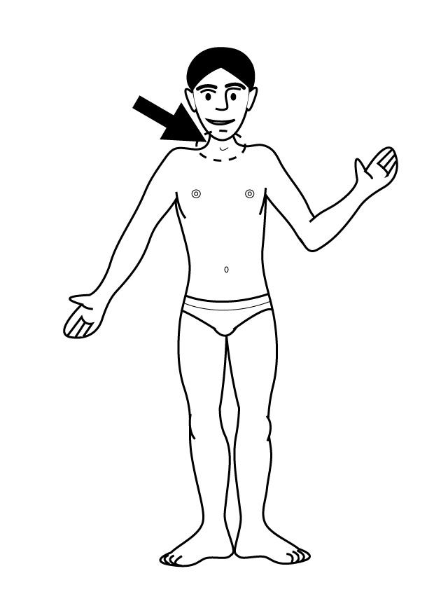 Coloring page neck - img 26928.