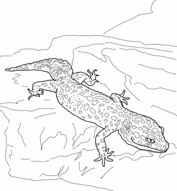 Leopard Gecko Coloring Pages | Online Coloring Pages