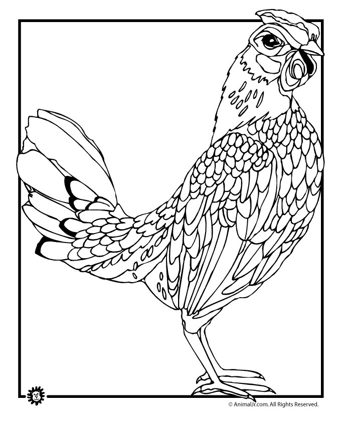 Pin by Amelia Haldane on Coloring pages