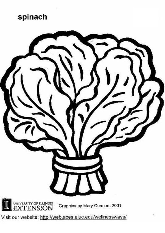 spinach coloring sheet - Google Search | Vegetable coloring pages, Coloring  pages, Fruit coloring pages
