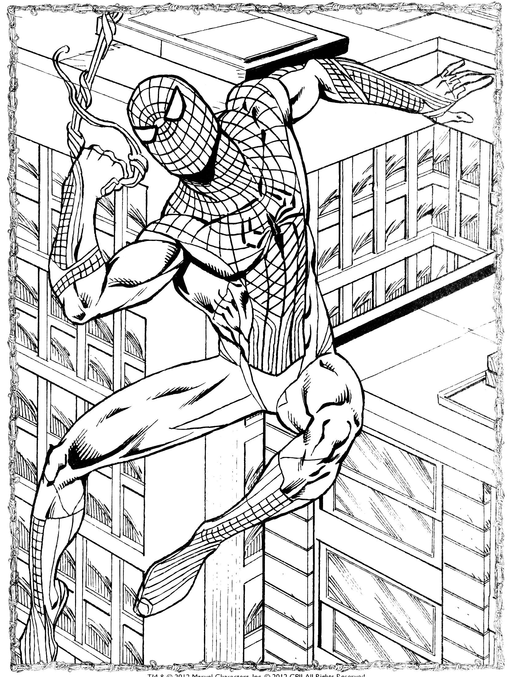 Spiderman Coloring Pages To Color Online - Coloring
