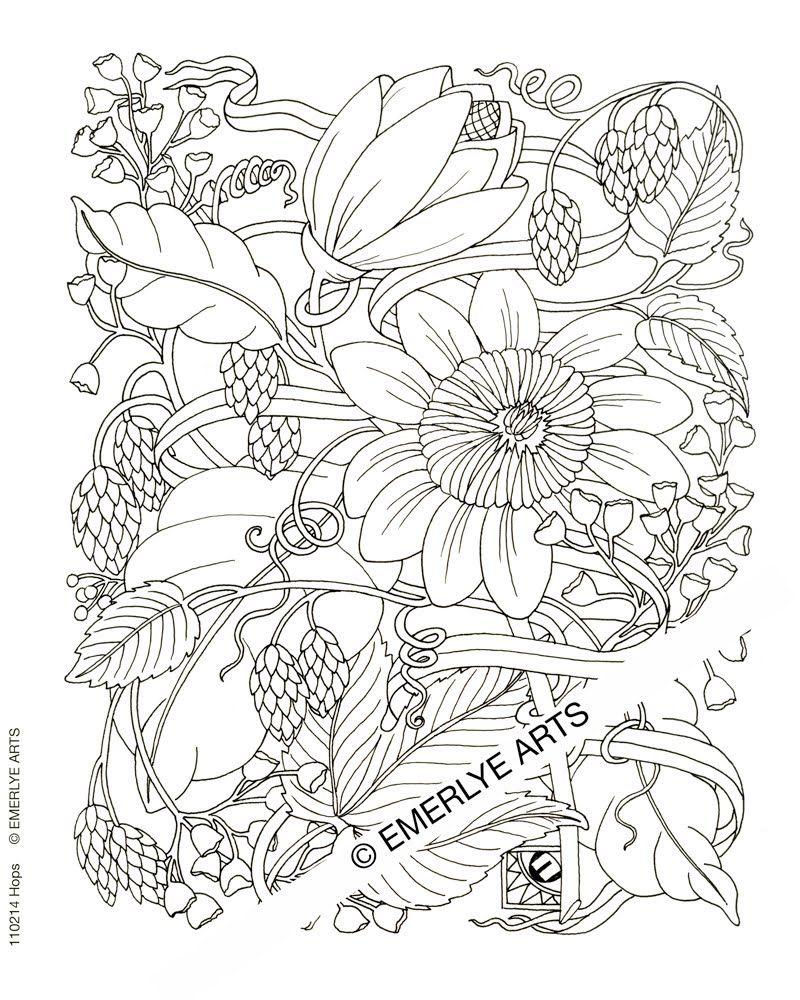 Printable Difficult Coloring Pages Realistic - Coloring Home