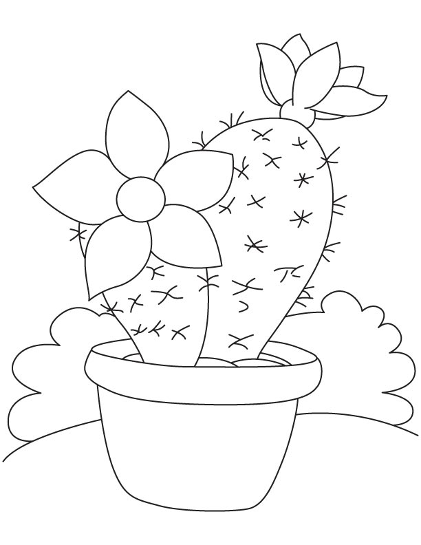 Large flower on cactus coloring page | Download Free Large flower on cactus coloring  page for kids | Best Coloring Pages
