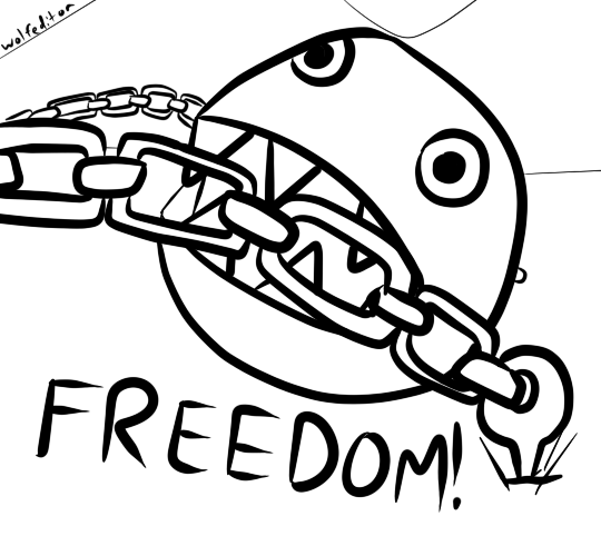 Freedom chomp | A Draw Day Afternoon