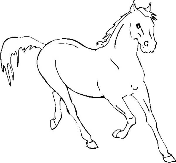 Horse, : Horse Running Fast in Horses Coloring Page | Horse ...