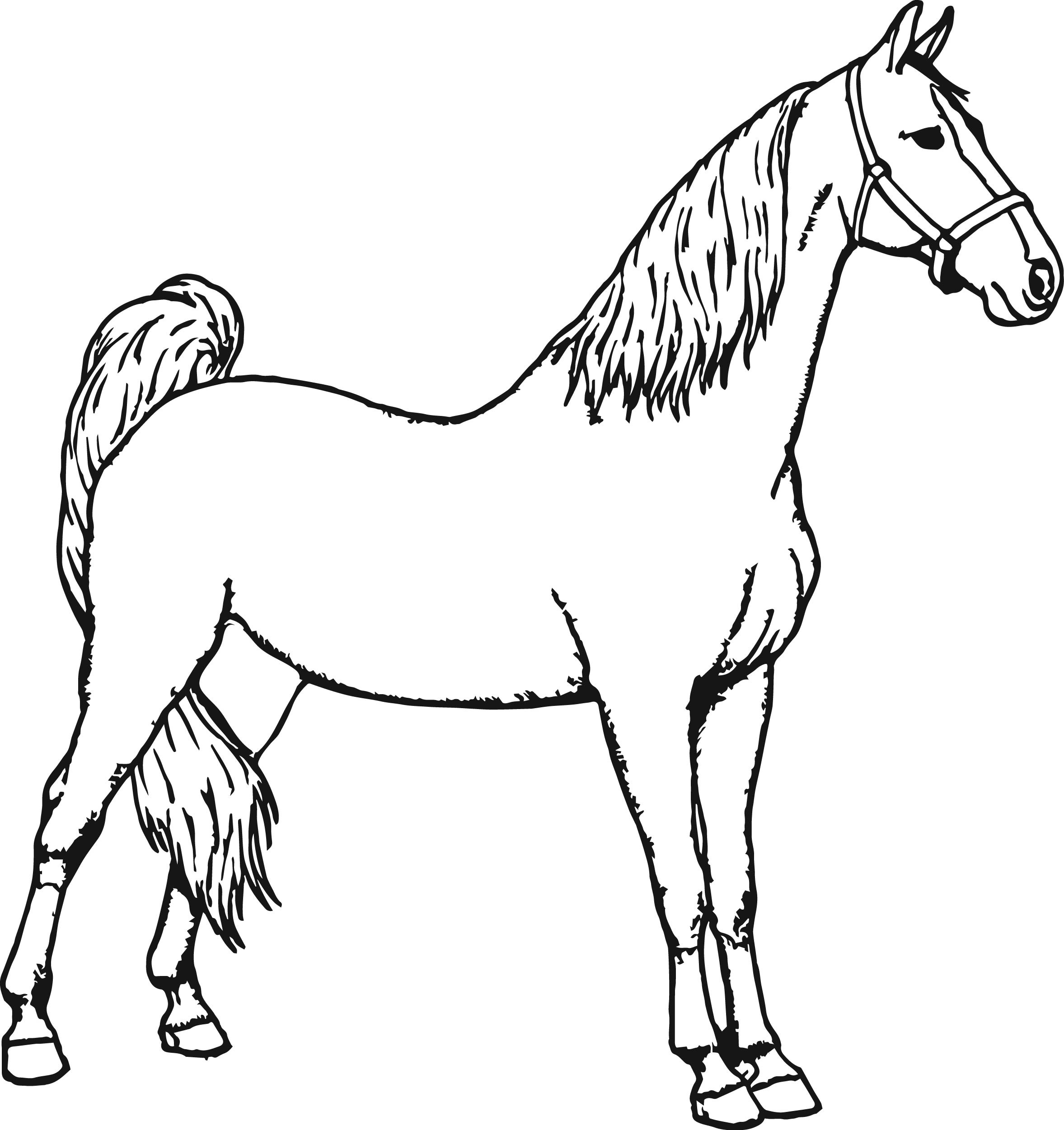 Horse Running Coloring Pages   Coloring Home