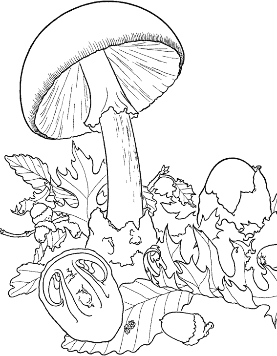 Coloring Pages Of Mushrooms